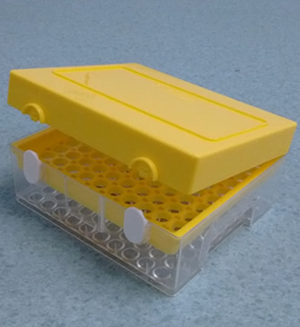 miniatura